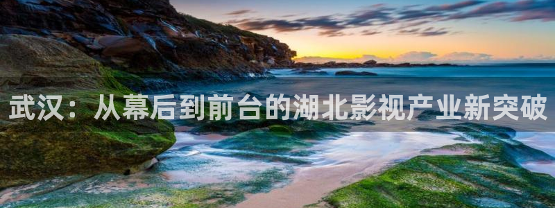 桃花片
