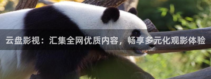 桃花影院tv：云盘影视：汇集全网优质内容，畅享多元化观影体验